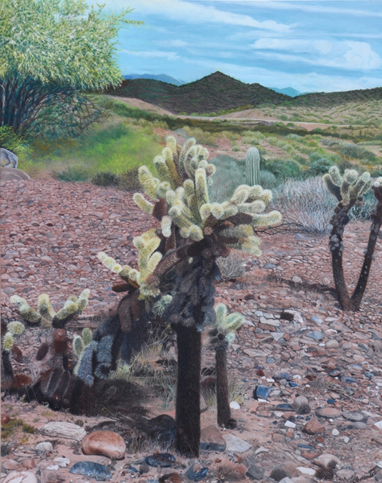 Golden Cholla