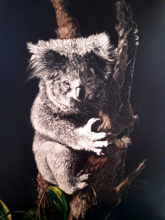 Living with Hope, Koala