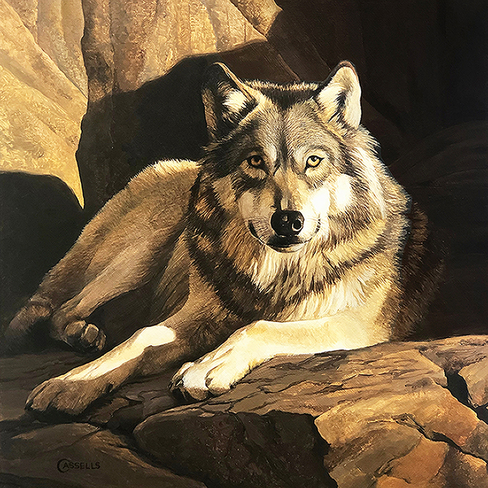 Den Mother-Timber Wolf