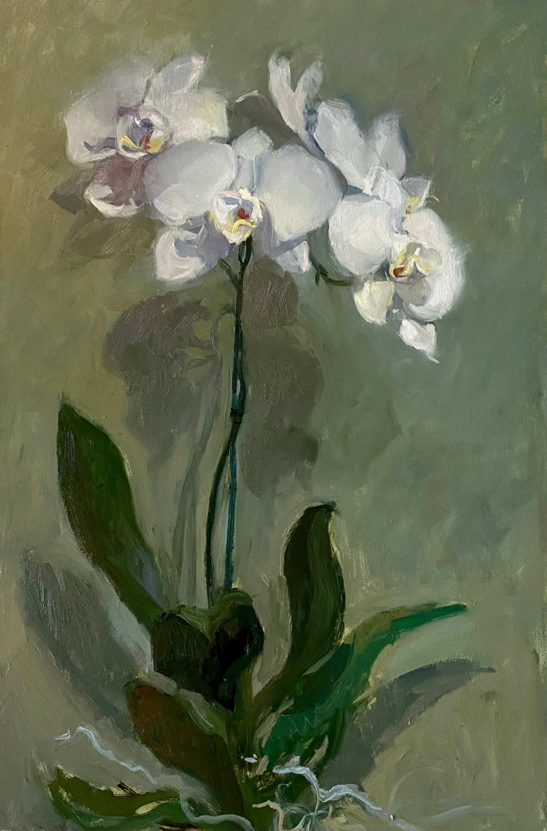 White Orchid Elegance