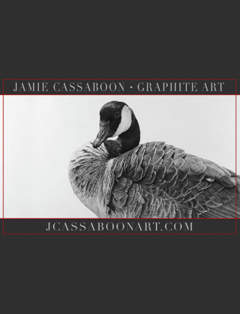 Jamie Cassaboon